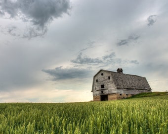 Old Weathered Red Barn Abandoned In A Lush Green Rural Countryside Field, Moody Rural Photo Art - Fine Art Photography Prints, Canvas, Metal