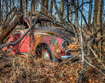 Retro Rusty Red Antique Classic Volkswagen Bug/Beetle Overtaken By Trees & Time In Rural Canada - Fine Art Photography Prints, Canvas, Metal