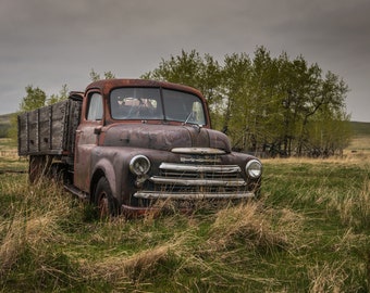 Rusty Antique Abandoned Classic Dodge Farm Truck Resting In An Overgrown Field In Rural Canada - Fine Art Photography Prints, Canvas, Metal