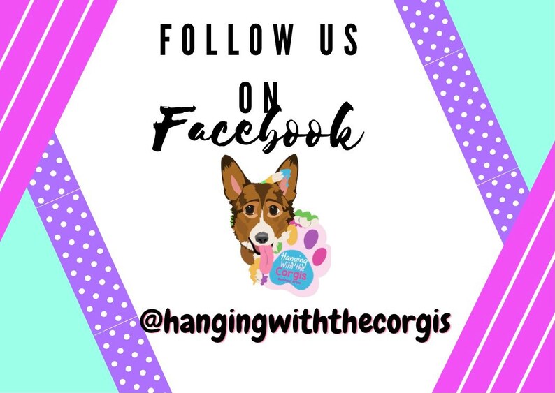 May include: A white graphic with a pink and purple polka dot border. The graphic says "Follow us on Facebook" with a cartoon corgi holding a sign that says "Hanging with the Corgis".