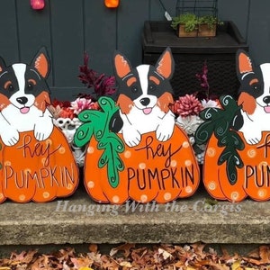 Corgi Pumpkin Door Hanger, Fall Door Decor, Corgi Decor, Corgi Art, Pembroke  Welsh Corgi, Corgi Halloween, Dog Fall Decor, Dog Door Hanger