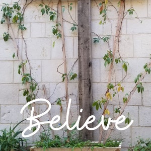BELIEVE CROSS Garden Wall Art Israel Christian Followers