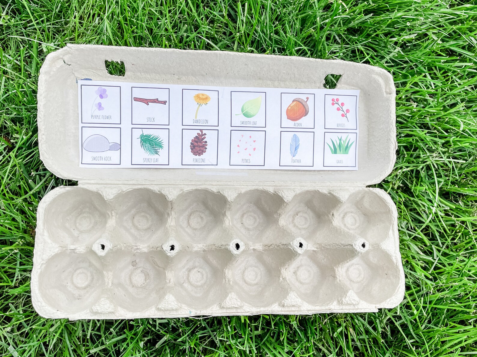 Printable Egg Carton Nature Scavenger Hunt Kids Nature Scavenger Hunt