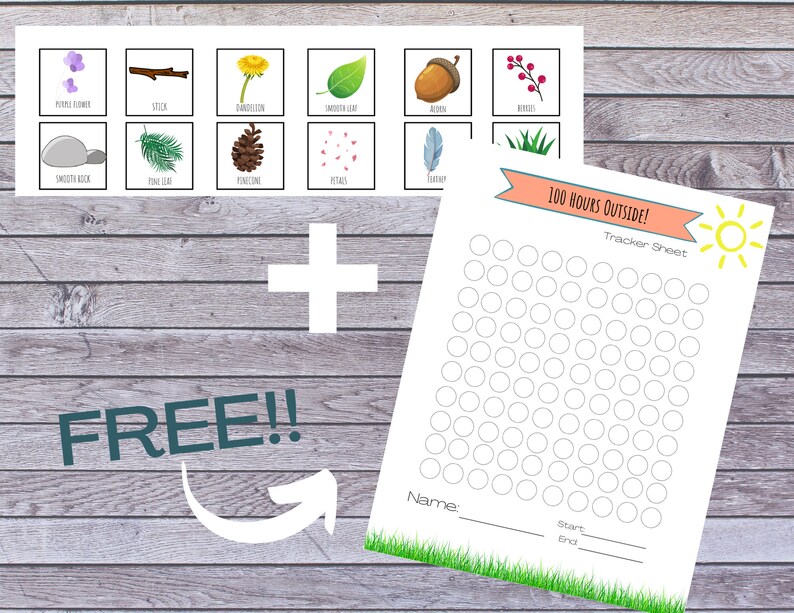 Printable Egg Carton Nature Scavenger Hunt Kids Nature Scavenger Hunt ...