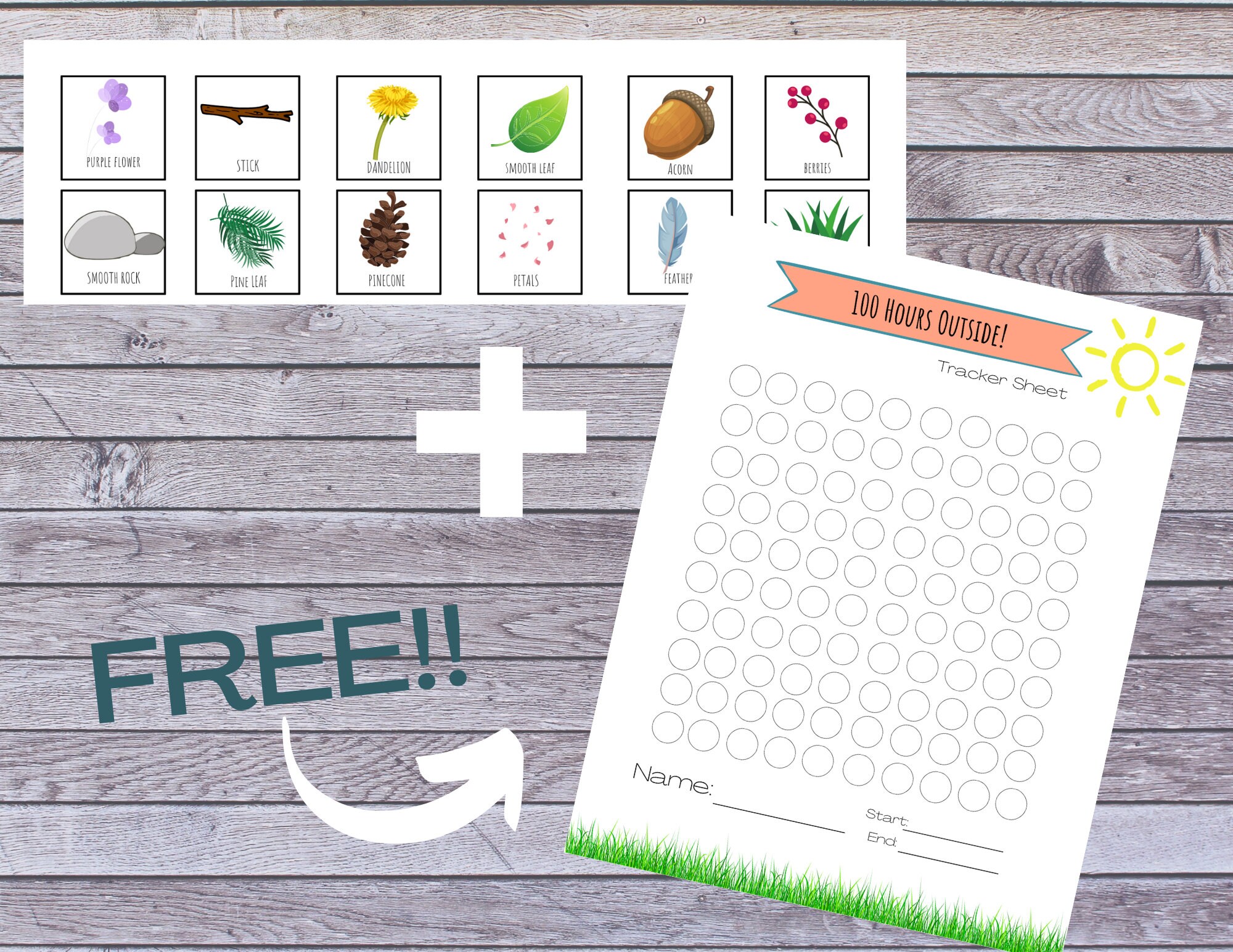 Printable Egg Carton Nature Scavenger Hunt Kids Nature Scavenger Hunt