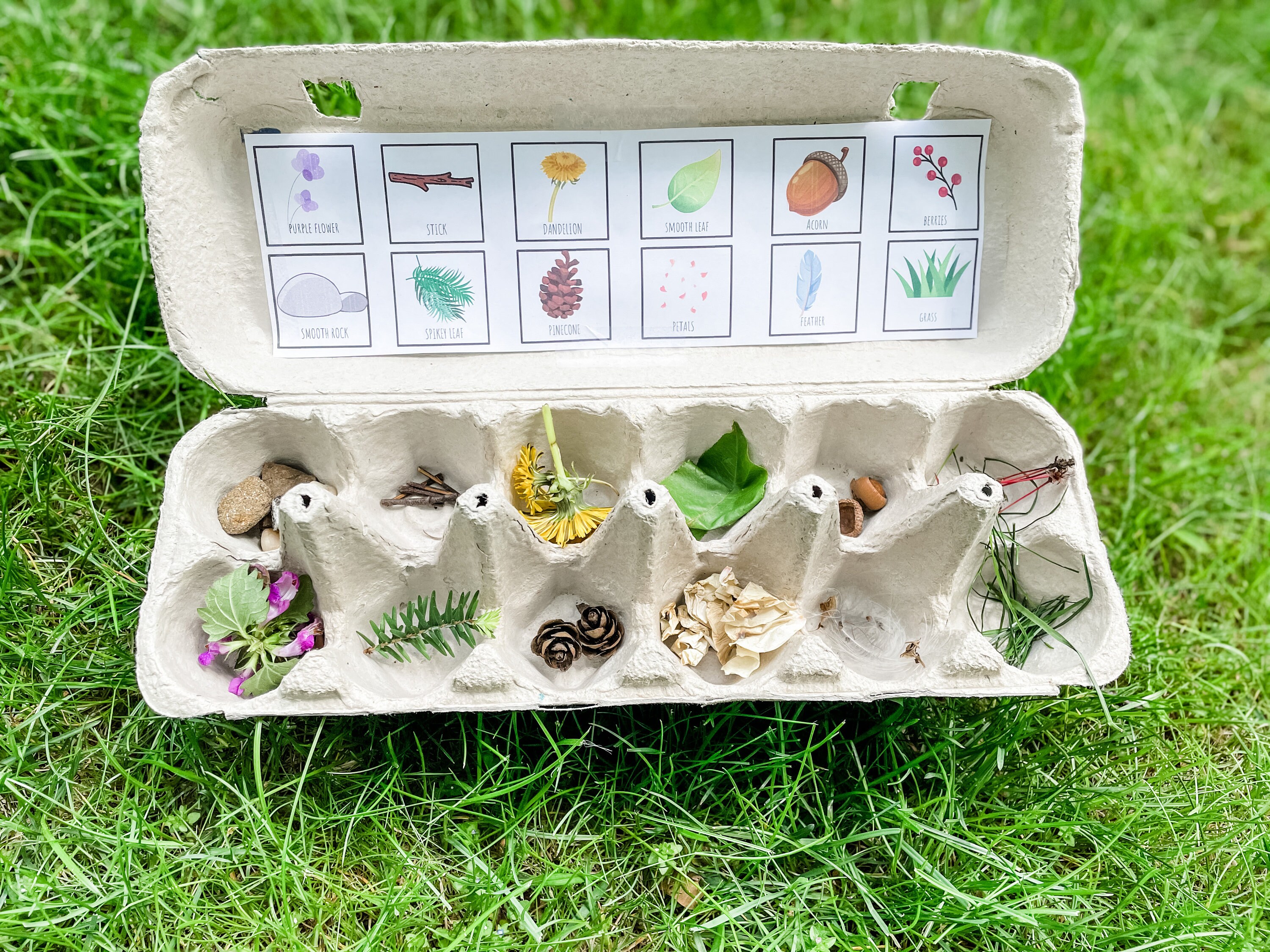 Printable Egg Carton Nature Scavenger Hunt Kids Nature Scavenger Hunt