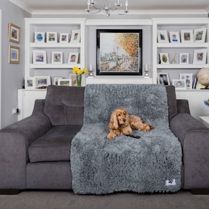 Leather couch sales covers for dogs