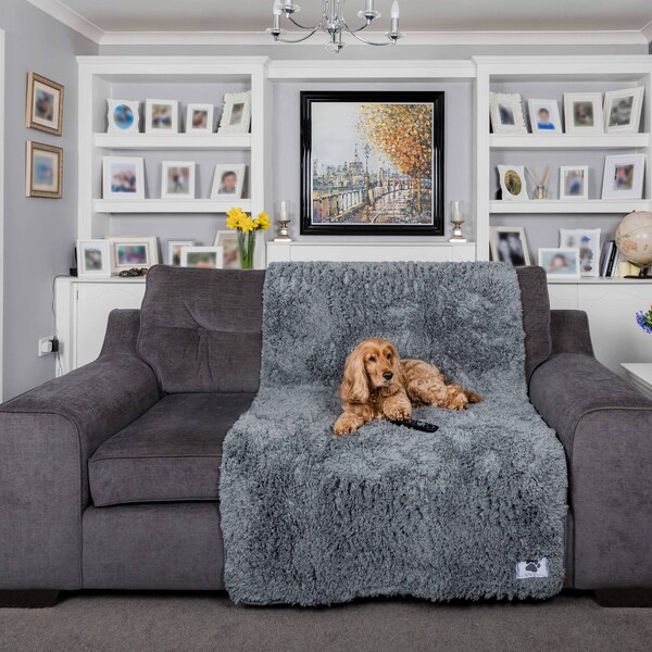 Pet Sofa Cover Etsy UK