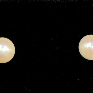 14K Yellow Gold Akoya Pearl Stud Earrings