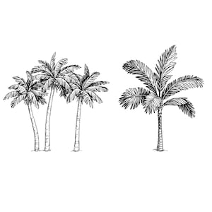 Palm tree,Palm tree silhouette,Instant Download,SVG, PNG, jpg digital download