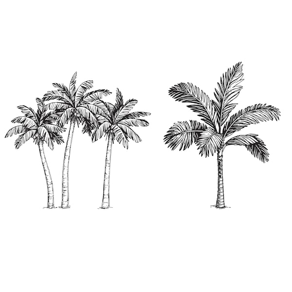 Palm tree,Palm tree silhouette,Instant Download,SVG, PNG, jpg digital download