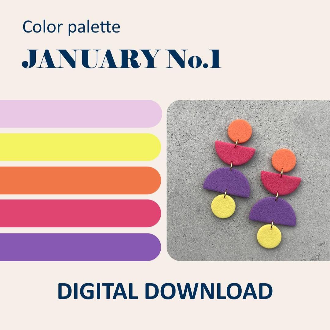January Colour Palette