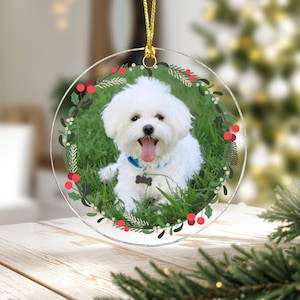 May include: A white dog with a red tongue is sitting in the grass. The dog is surrounded by a green wreath with red berries. The wreath is on a clear round ornament.
