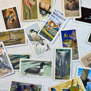 10 cartes à thé/café vintage authentiques - assorties