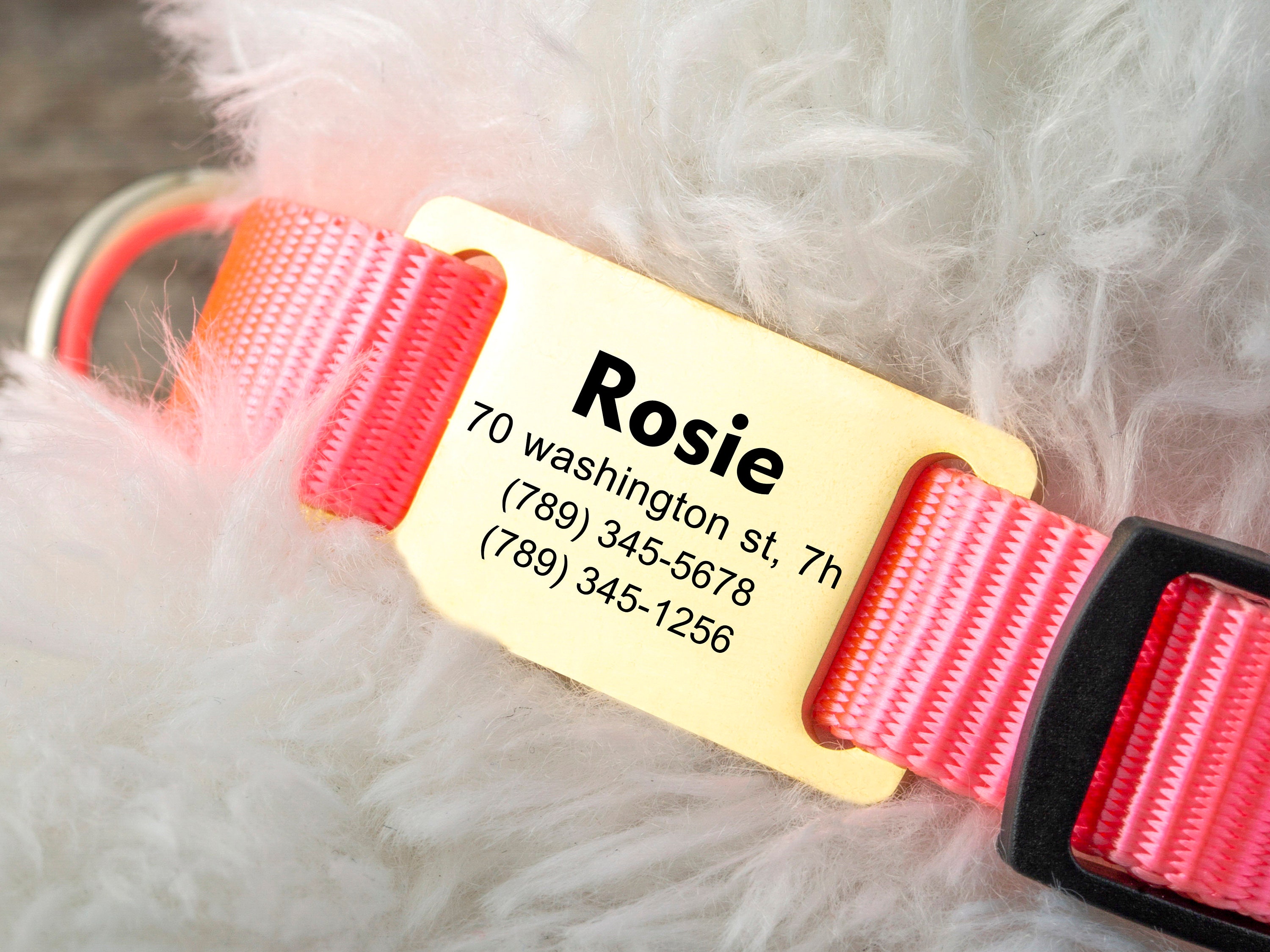 Collar Slide Tag Silent dog Tag personalized Pet ID Tag Collar Etsy