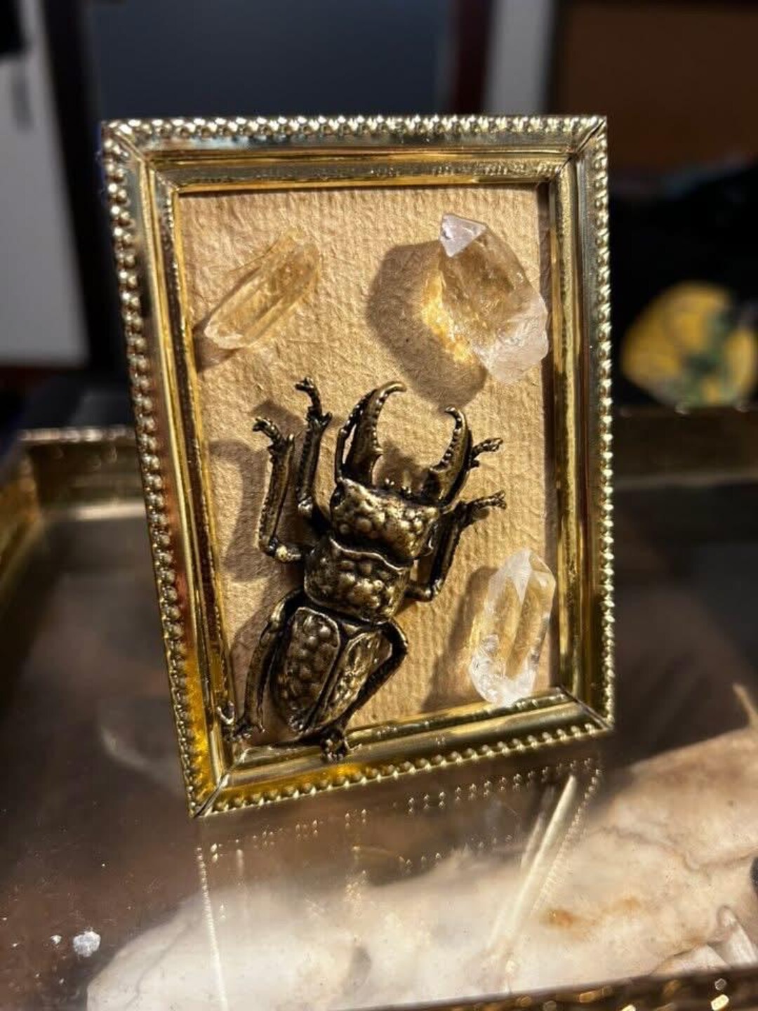 Small Beetle Frame - Etsy
