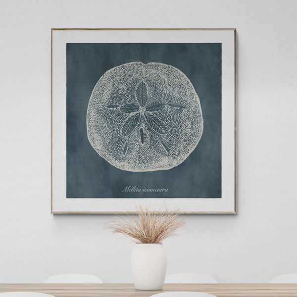 Vintage Coastal Art Sanddollar Print, Vintage Coastal Art Print, Sanddollar Wall Art