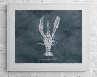 Crawfish Watercolor Coastal Wall Art Print, Modern Coastal Steel Gray Digital Download Print