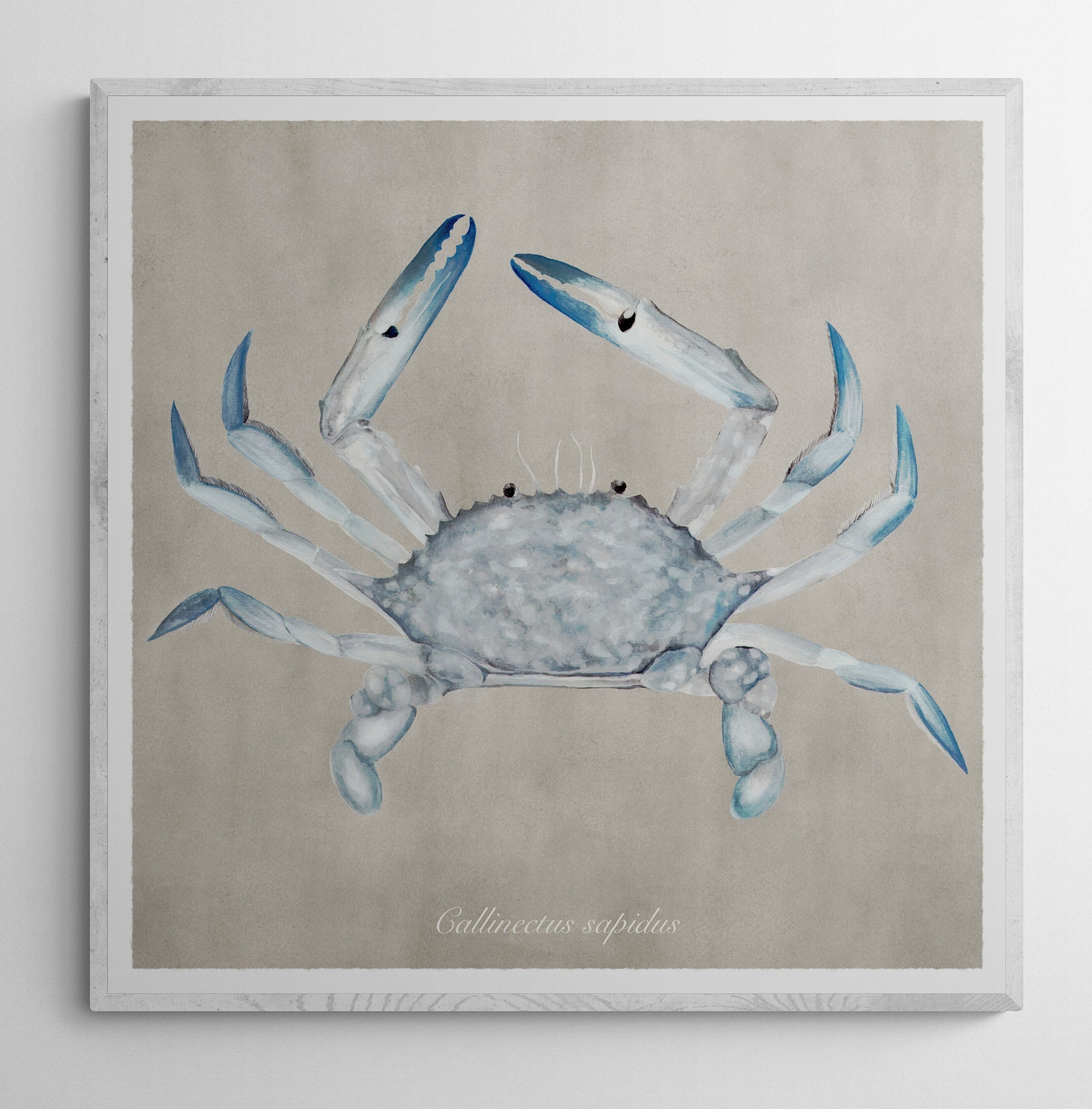 Vintage Coastal Art Print Set of 6 Vintage Coastal Art Print Etsy