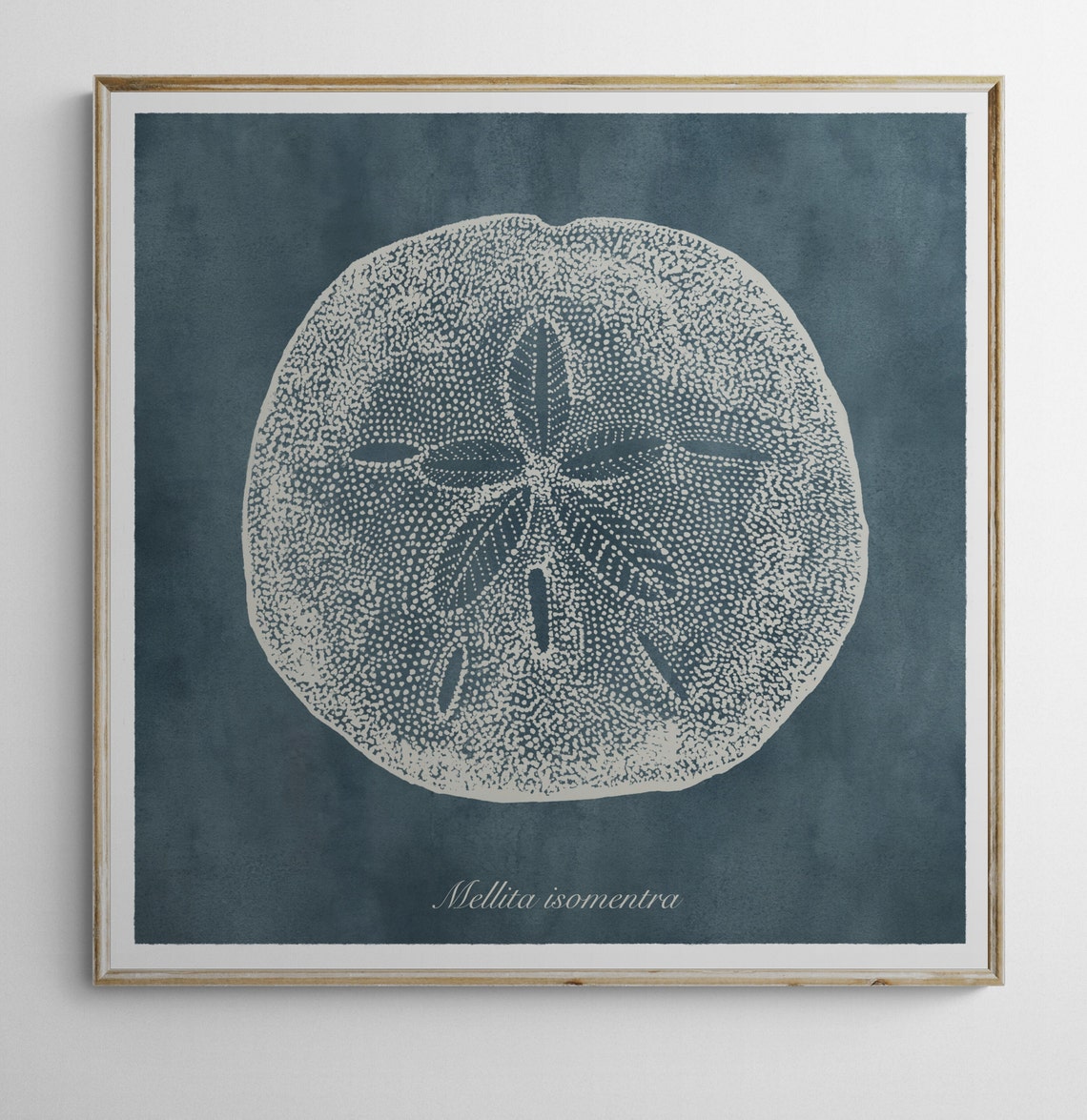 Vintage Coastal Art Print Set of 6 Vintage Coastal Art Print Etsy