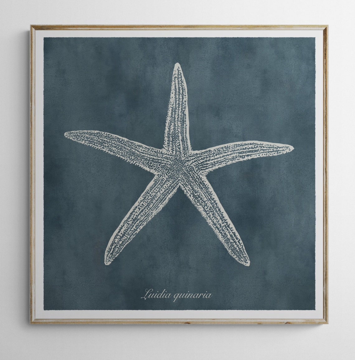 Vintage Coastal Art Print Set of 6 Vintage Coastal Art Print Etsy