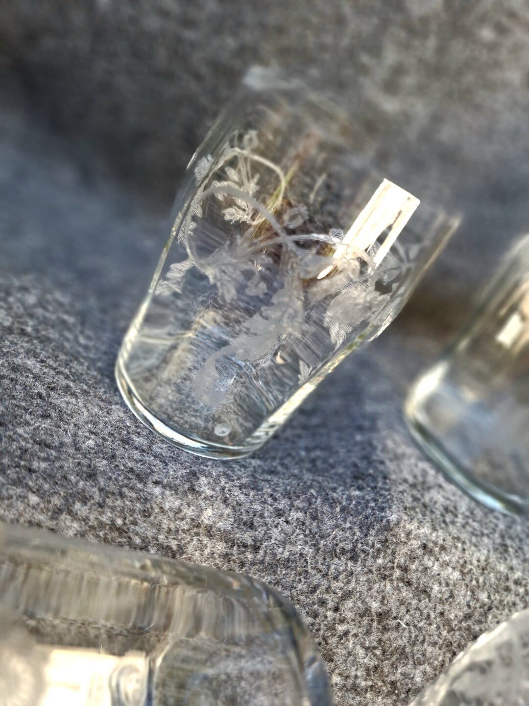 Vintage Etched Glasses Fine Drinkware Etched Water Glasses Etsy