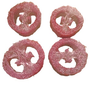 New Flavour,  Loofah Treat - 4 x Loofah per bag  suitable for all small animals Rabbits, Hamster Rats Mice