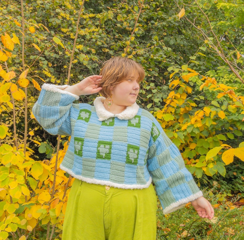 Pu&ograve; includere: Un maglione all'uncinetto blu e verde con un colletto bianco e un bordo bianco. Il maglione ha un motivo a scacchi con quadrati verdi e quadrati blu. Il maglione &egrave; corto e ha maniche lunghe.