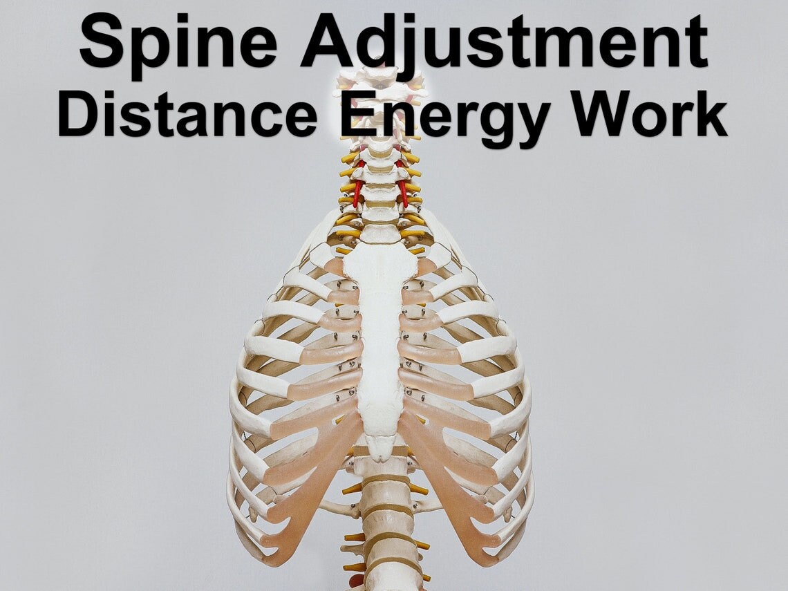 Chiropractic Roller Table for sale 92 ads for used Chiropractic Roller