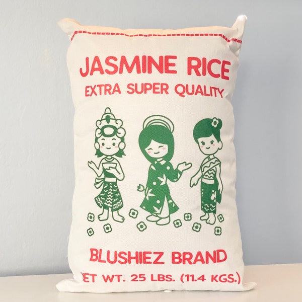 Jasmine Rice Decorative Pillow | Asian Food Themed Decor | Kawaii Plush Cushion | Cute Throw Pillow | Novelty Food Pillow