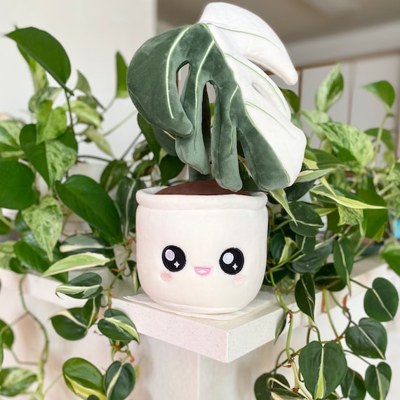 Monstera Albo Plush Toy - Etsy