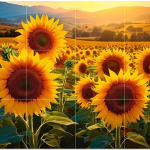 Sunflower Field Floral Decor Pattern A816 Art Tile Mural Kitchen Shower Bath Wall Backsplash Marble Ceramic
