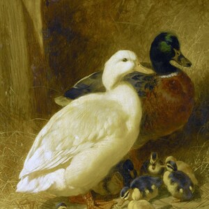 May include: A painting of a white duck with a brown and green duck and five ducklings. The ducks are in a nest of hay.