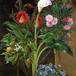 Puede incluir: Una pintura de bodegón con cuatro plantas en maceta. Un lirio blanco, un cactus rojo, un árbol de cítricos verde con frutos amarillos y una planta de flores azules. Las plantas están dispuestas en un jarrón y se colocan sobre un fondo marrón oscuro.