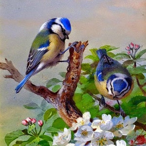 May include: Two bluebirds perched on a branch with white blossoms. The birds are blue, green, and yellow. The blossoms are white with yellow centers. The background is a soft, light blue.
