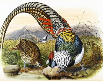 Family of The Pheasants by Daniel Giraud Elliot Tile Mural Kitchen Shower Bath Wall Backsplash Marble Ceramic