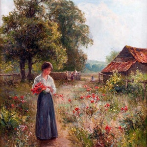 May include: A woman in a white blouse and a blue skirt walks along a path in a field of red flowers. She is holding a bouquet of red flowers. There is a small wooden building in the background.
