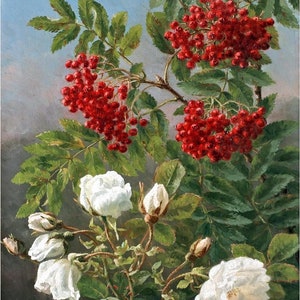 May include: A painting of a bouquet of white roses and red berries with green leaves against a blue sky background.