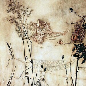 May include: A black and white illustration of a woman in a flowing dress, running across a spider web. The woman is being chased by a spider with a violin. The background is a light brown color.