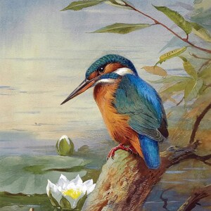 May include: A watercolor painting of a kingfisher perched on a branch over a pond. The bird has blue and green feathers, a long orange beak, and is perched on a branch with a white water lily in the foreground. The background is a soft blue and green.
