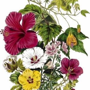May include: A bouquet of colorful flowers, including a large red hibiscus, a white hibiscus, a yellow hibiscus, and several smaller pink flowers. The flowers are arranged with green leaves and stems.