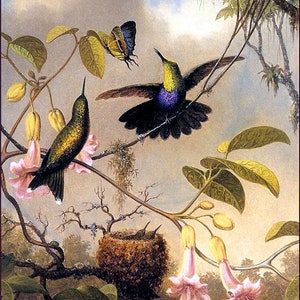 Puede incluir: Una pintura de dos colibríes posados en una rama con flores rosas. Una mariposa vuela por encima de los pájaros. Un nido de pájaro es visible en la esquina inferior izquierda de la pintura.