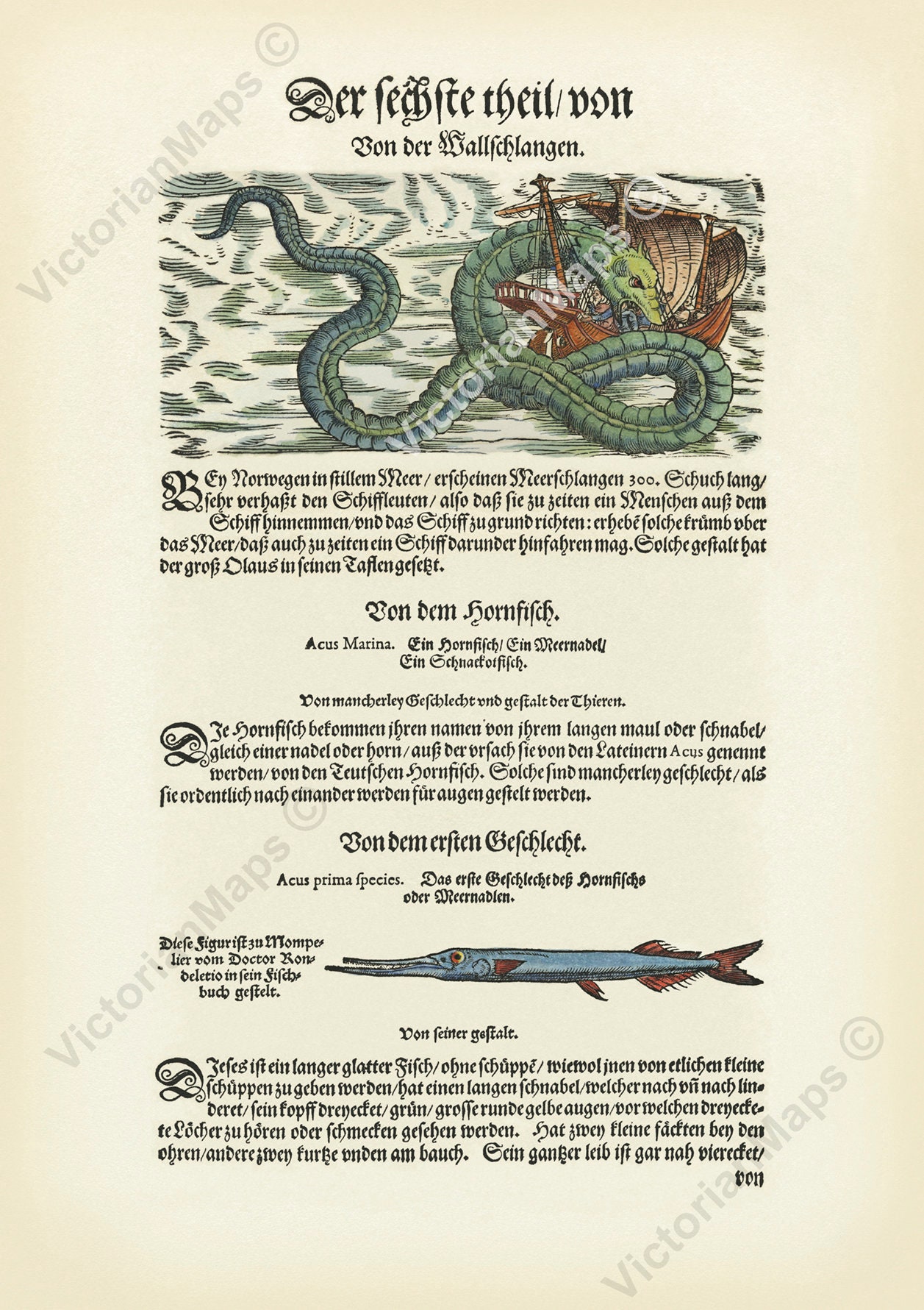 Giant Sea Serpent monster snake attacks ship antique woodcut full page engraving Gessner Gesner 1598 art print poster gift present mythology