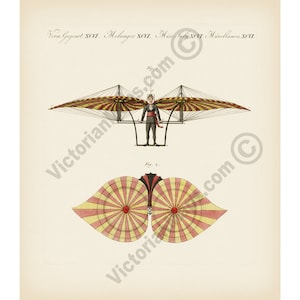 Jacob Degen&#39;s Flying Machine ornithopter early aircraft aviation F J Bertush 1807 art print poster aeronautics gift pilot high flyer present