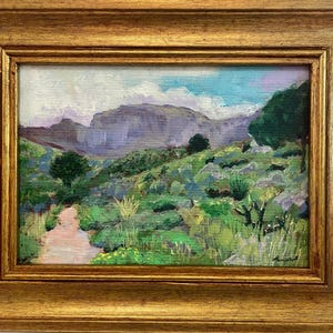 Park Narodowy Big Bend, oryginalny obraz akrylowy w ramie, sztuka ścienna w stylu południowo-zachodnim
