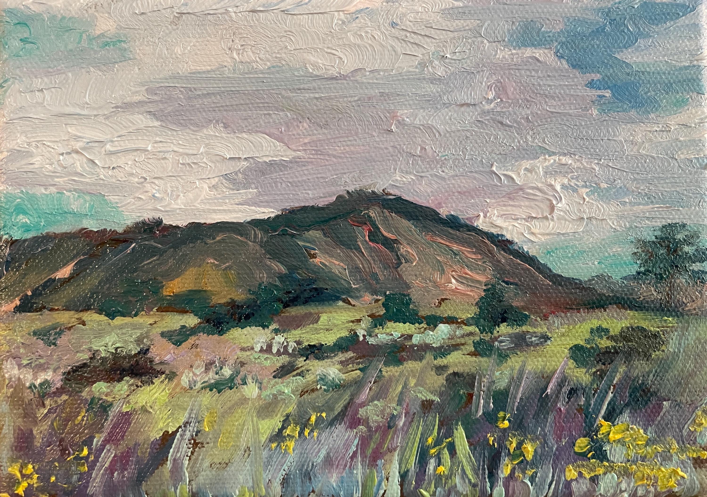 Original Wildflower Oil Painting: Southwest Mountain Landscape 5x7 Canvas