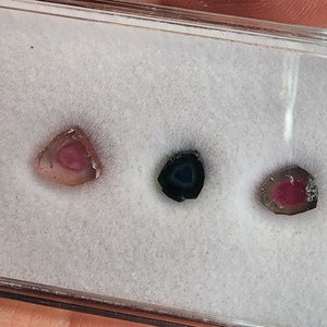 Mixed Tourmaline Slices 3PC Parcels | Bicolor Tourmaline | Watermelon Tourmaline | Blue Tourmaline | Tourmaline Slices