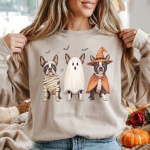 Boston Terrier Halloween Dog Shirt PNG Boston Terrier in Costume Design Halloween Shirt Sublimation PNG Dog T Shirt Digital Download