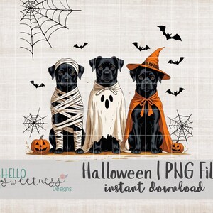 May include: A digital illustration features three black dogs dressed in Halloween costumes. One is wrapped as a mummy, another is a ghost, and the third wears a witch hat and cape. Bats, spiderwebs, and pumpkins complete the spooky scene.
