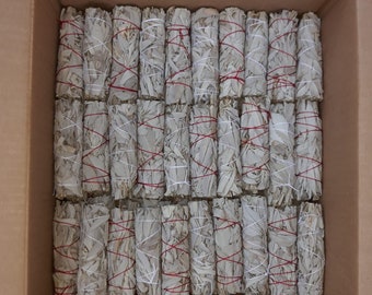 100 palitos de salvia blanca a granel - Salvia de California de 4"